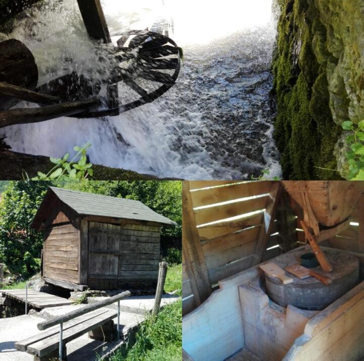 ApartHotel Kopaonik Brzece Bagian luar foto